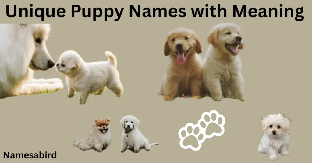 Unique Puppy Names with Meaning