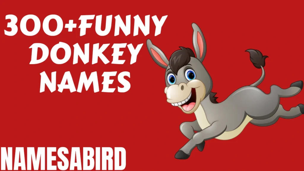 Funny Donkey Names
