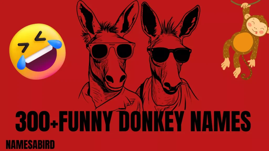 Funny Donkey Names