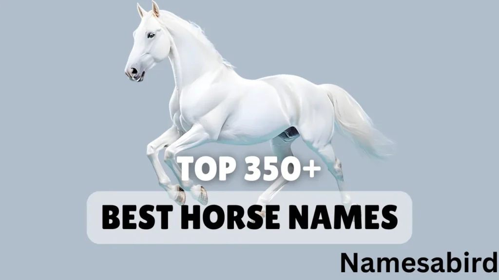 Funny Horse Names 