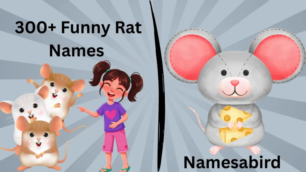 Funny Rat Names