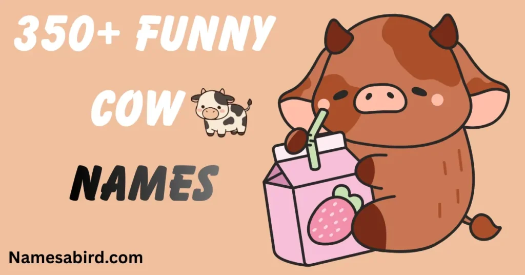 Funny Cow Names