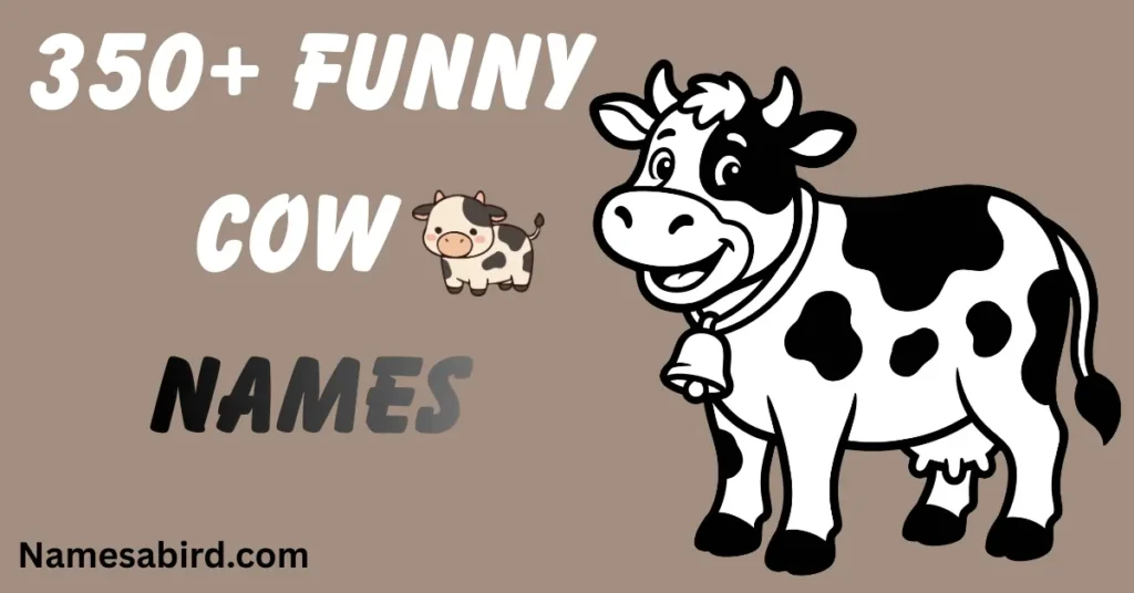 Funny Cow Names