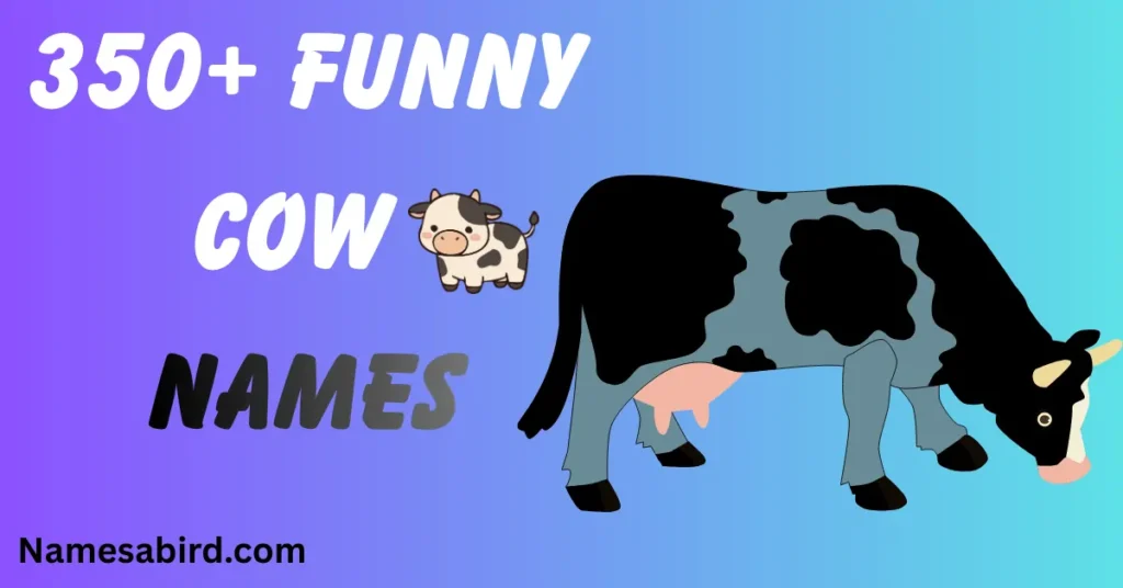 Funny Cow Names