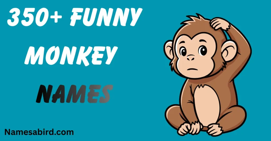 Funny Monkey Names