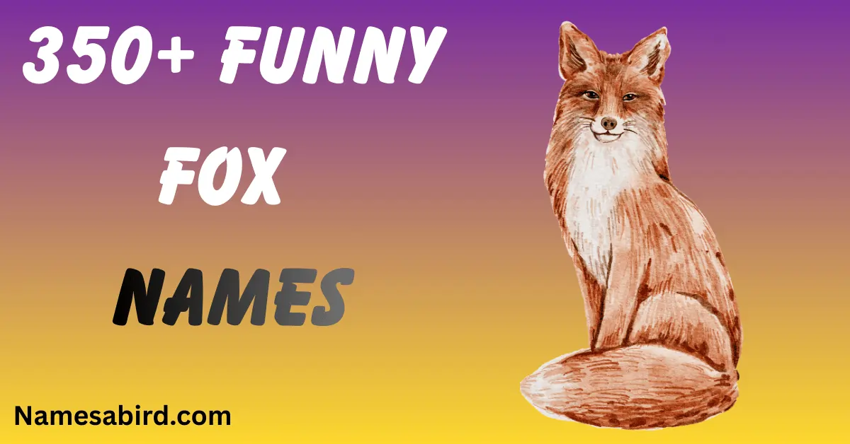 Funny Fox Names 