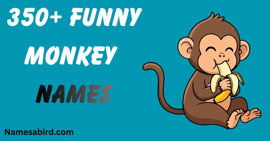 Funny Monkey Names