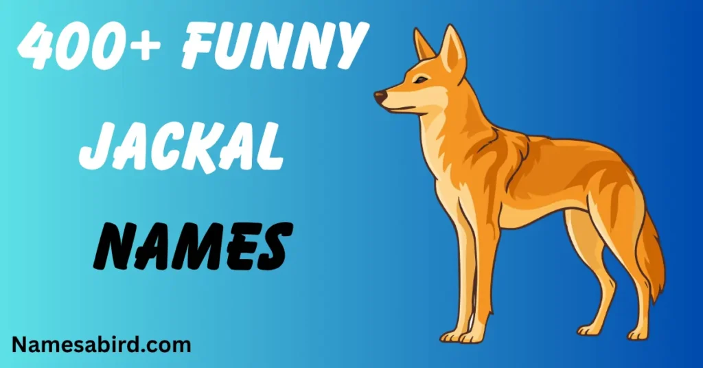 Funny Jackal Names
