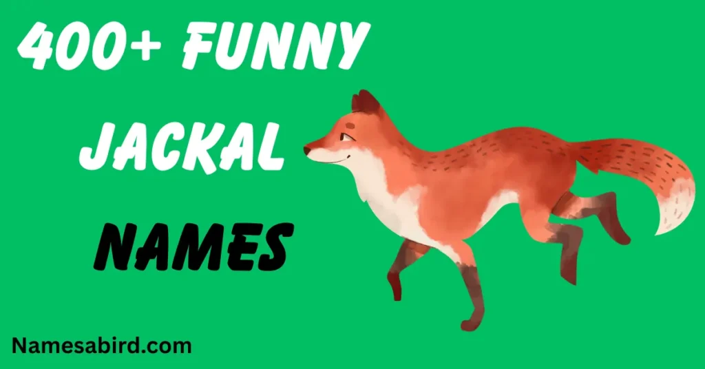 Funny Jackal Names