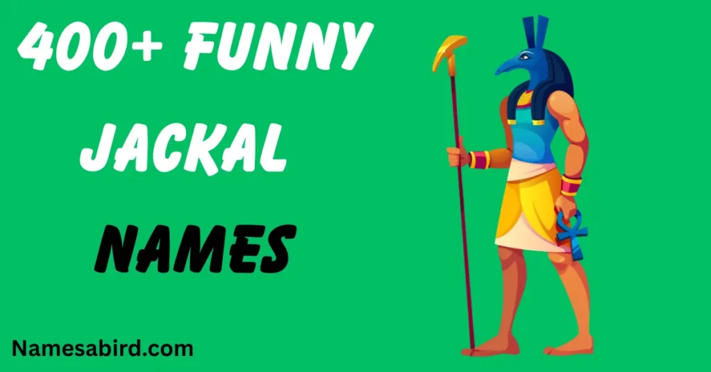 Funny Jackal Names
