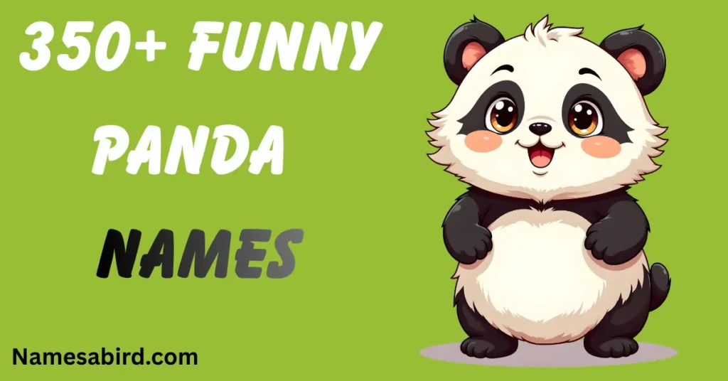 Funny Panda Names