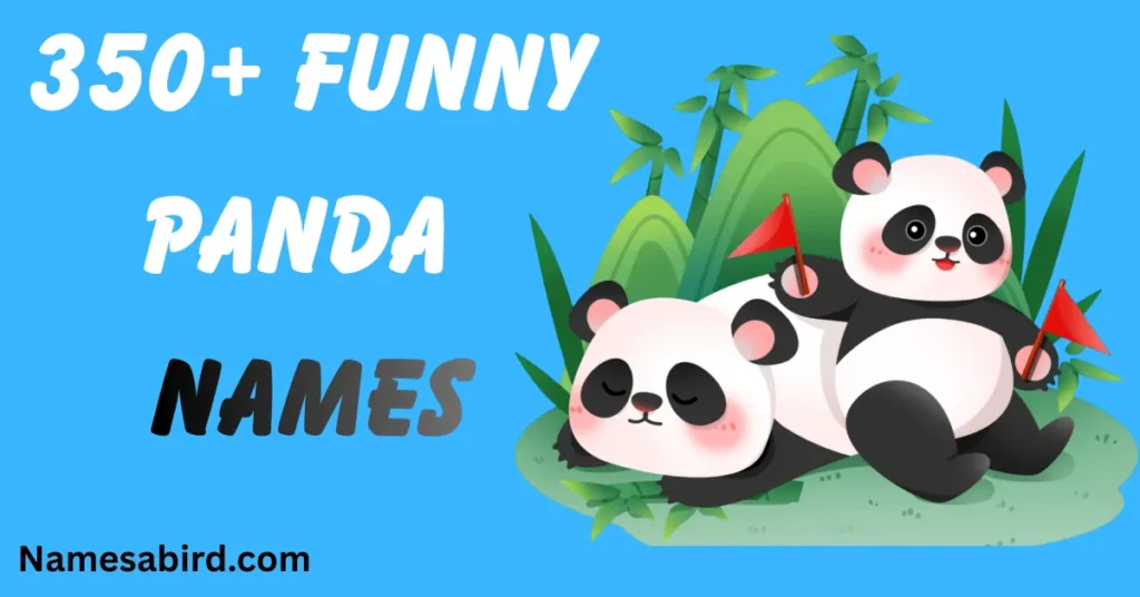 Funny Panda Names