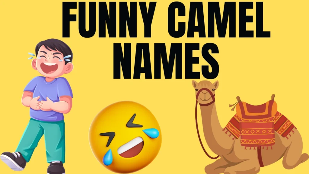 funny camel names 
