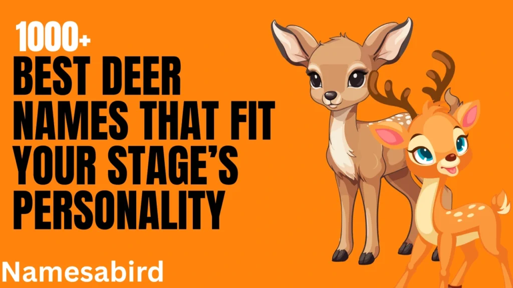 Funny Deer Names