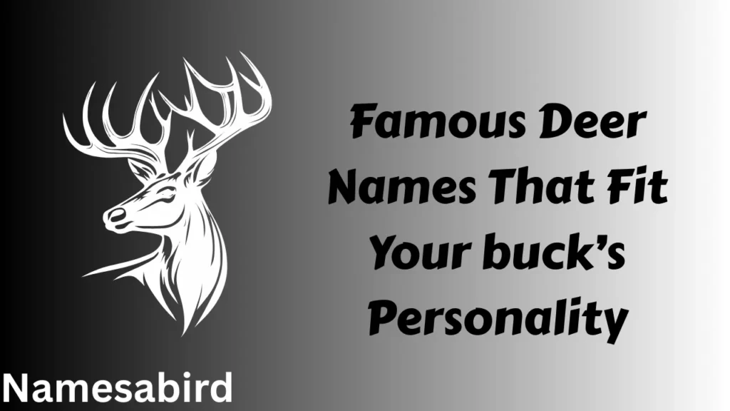 Funny Deer Names