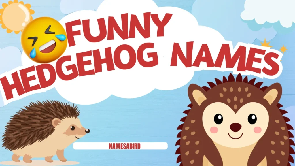 Funny Hedgehog Names