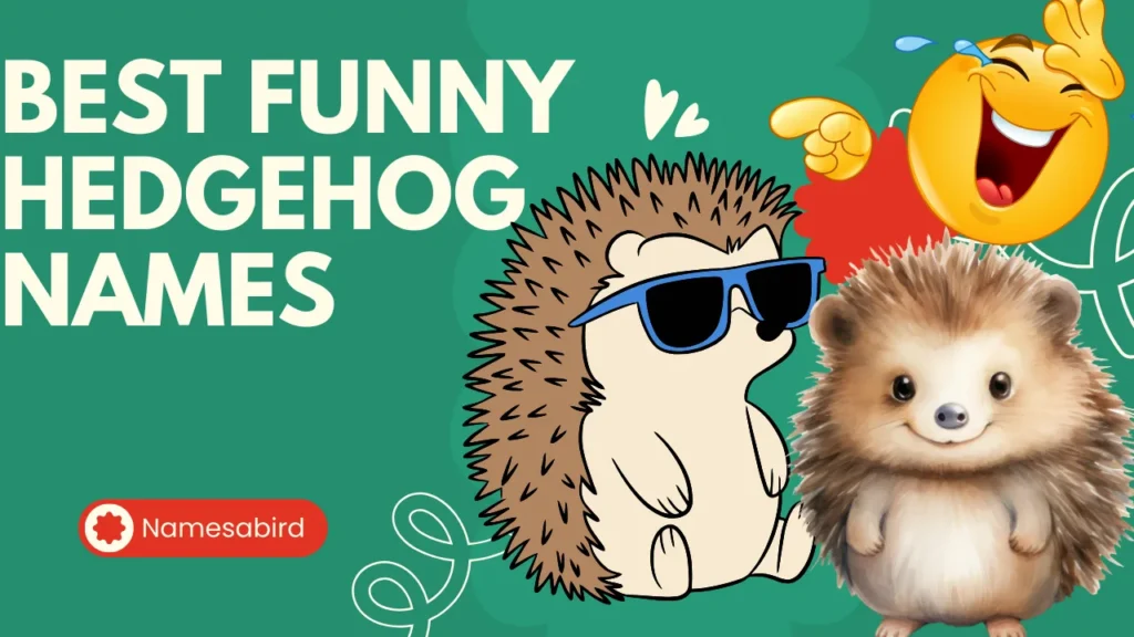 Funny Hedgehog Names
