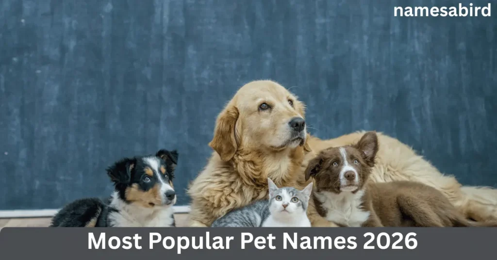 Popular Pet Names