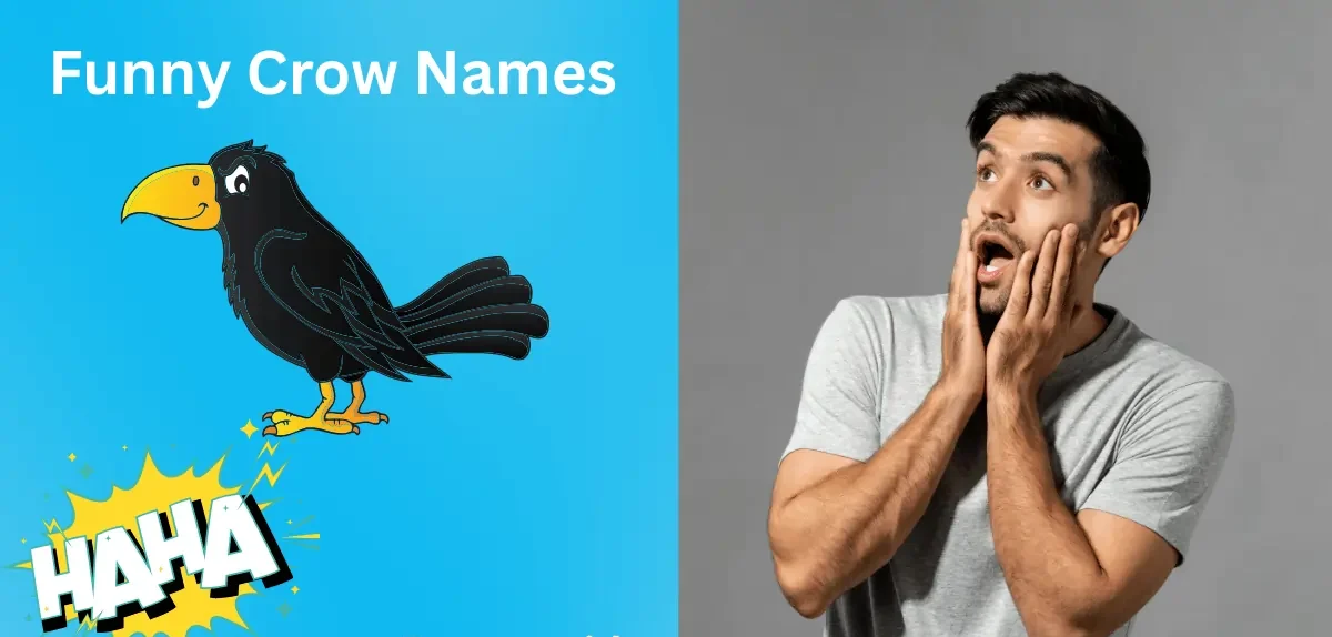 funny crow names