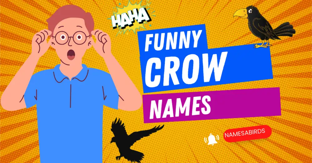 funny crow names