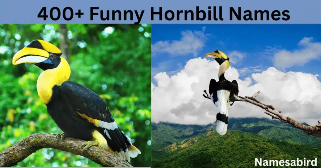 300+ Funny Hornbill Names: Hilarious ideas with AI Generator for Bird Lovers
