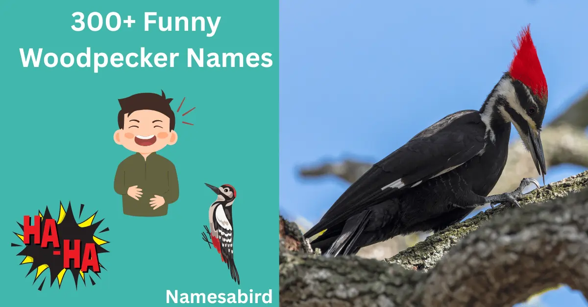 400+ Funny Woodpecker Names: Hilarious & Unique Ideas to Make You Smile