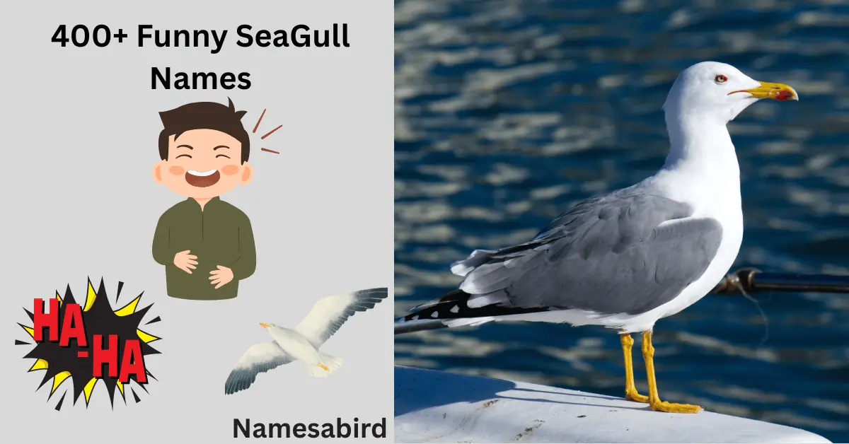 400+ Funny Seagull Names (Cute, Silly,& Hilarious Ideas)