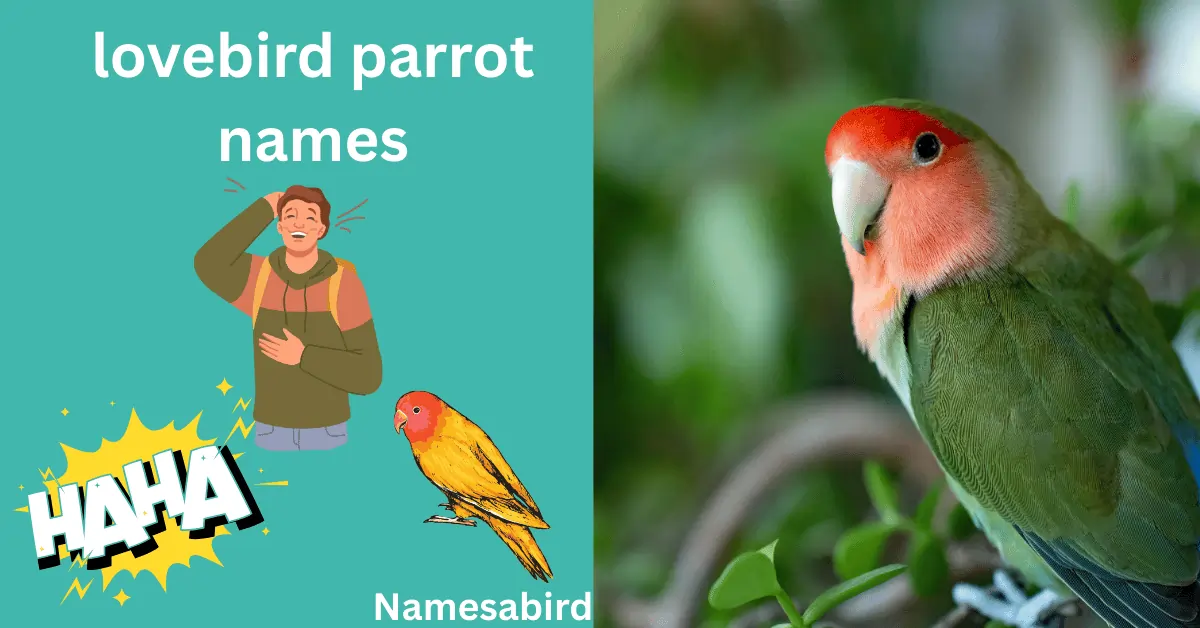 Cute Lovebird Names