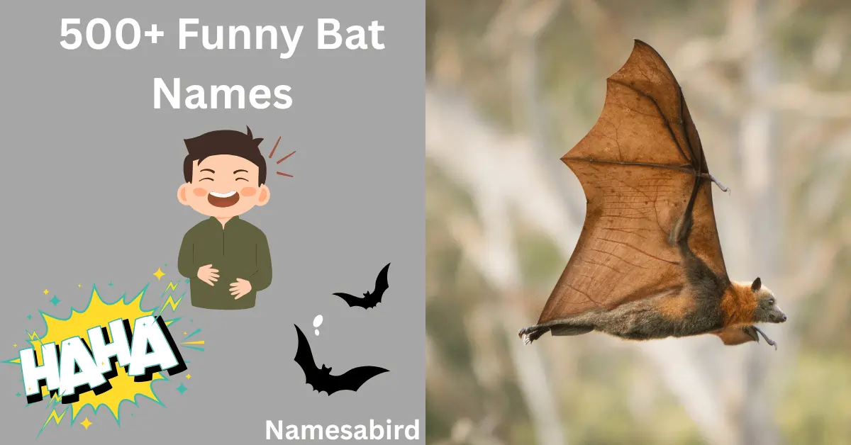 500+Funny Bat Names: Hilarious Spooky and Cool Ideas for Your Pet Bat