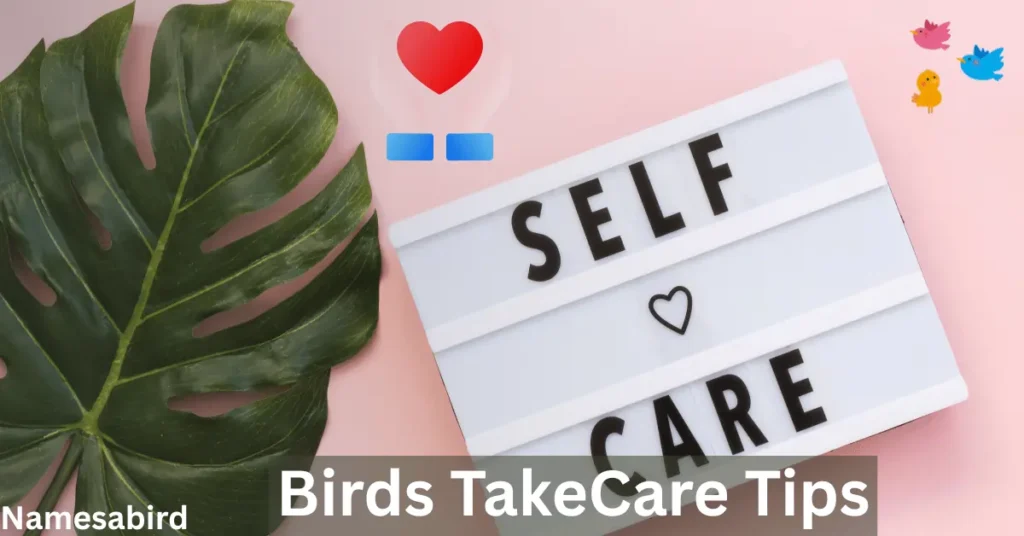 takecare of your birds tips