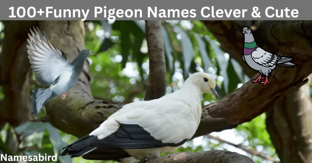 100+Funny Pigeon Names Clever & Cute Picks For Your Pet Bird