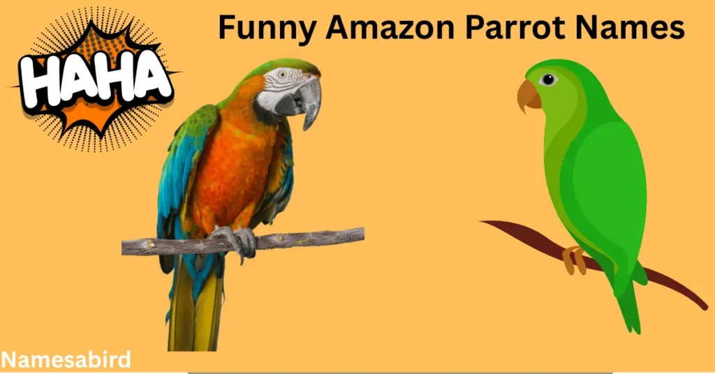 Amazon Parrot Names