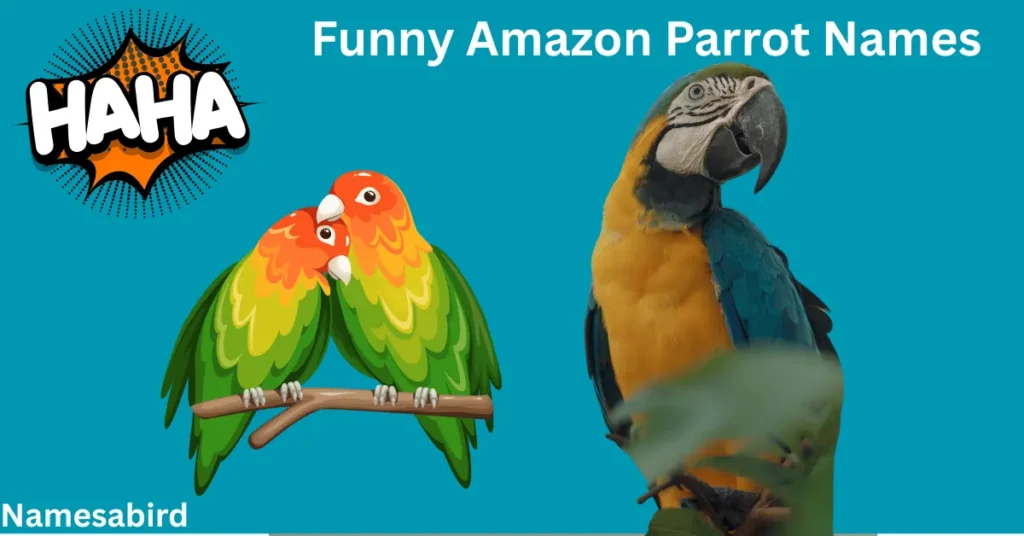 Amazon Parrot Names