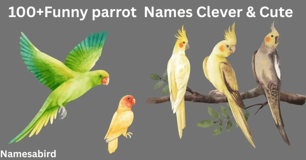 Funny Parrot Names That’ll Make You Snort-Laugh