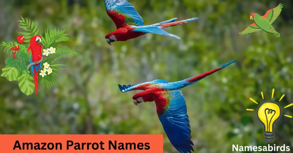Amazon Parrot Names