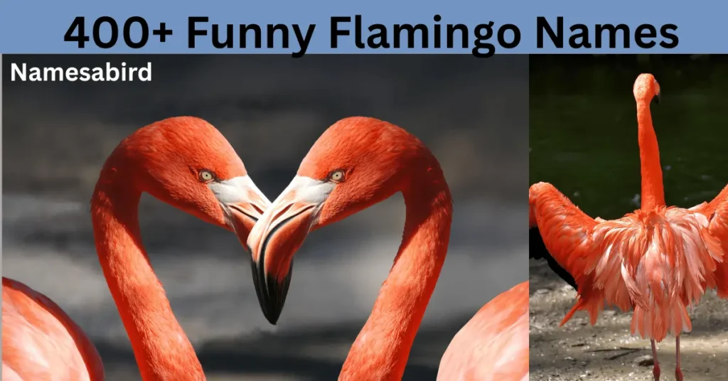 500+ Funny Flamingo Names: Unique, Creative & Stylish Ideas with AI Generator