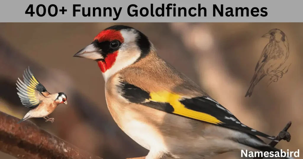 400+ Funny Goldfinch Names: Hilarious & Unique Cool Ideas