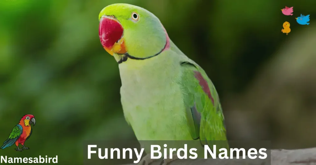 funny parrot names