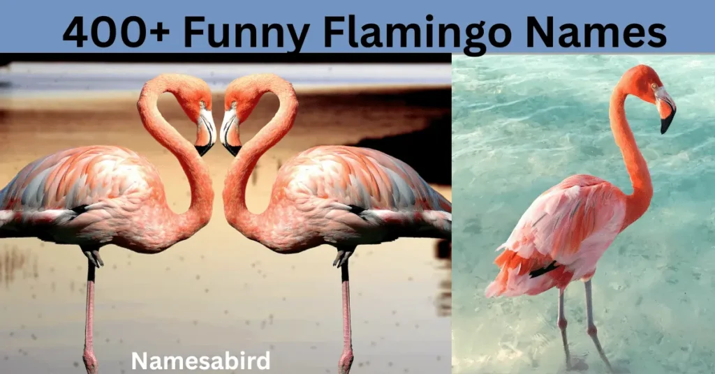 500+ Funny Flamingo Names: Unique, Creative & Stylish Ideas with AI Generator