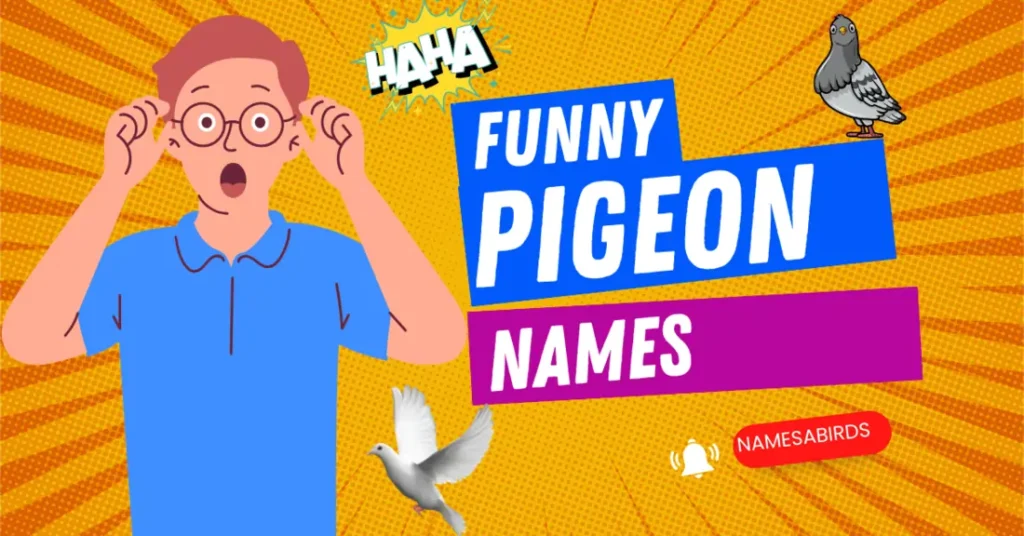 100+Funny Pigeon Names Clever & Cute Picks For Your Pet Bird