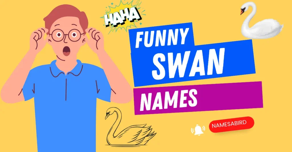 300+ Funny Swan Names