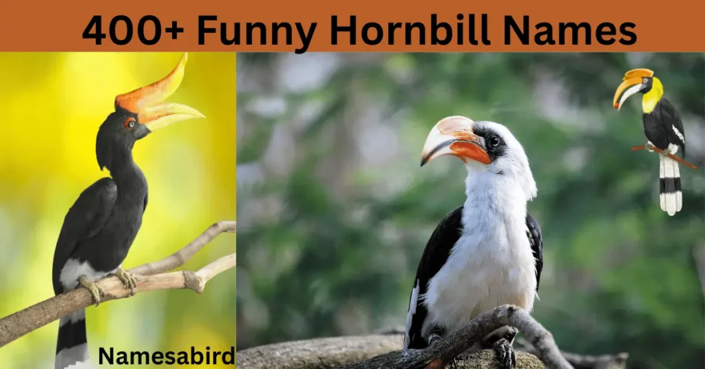 300+ Funny Hornbill Names: Hilarious ideas with AI Generator for Bird Lovers
