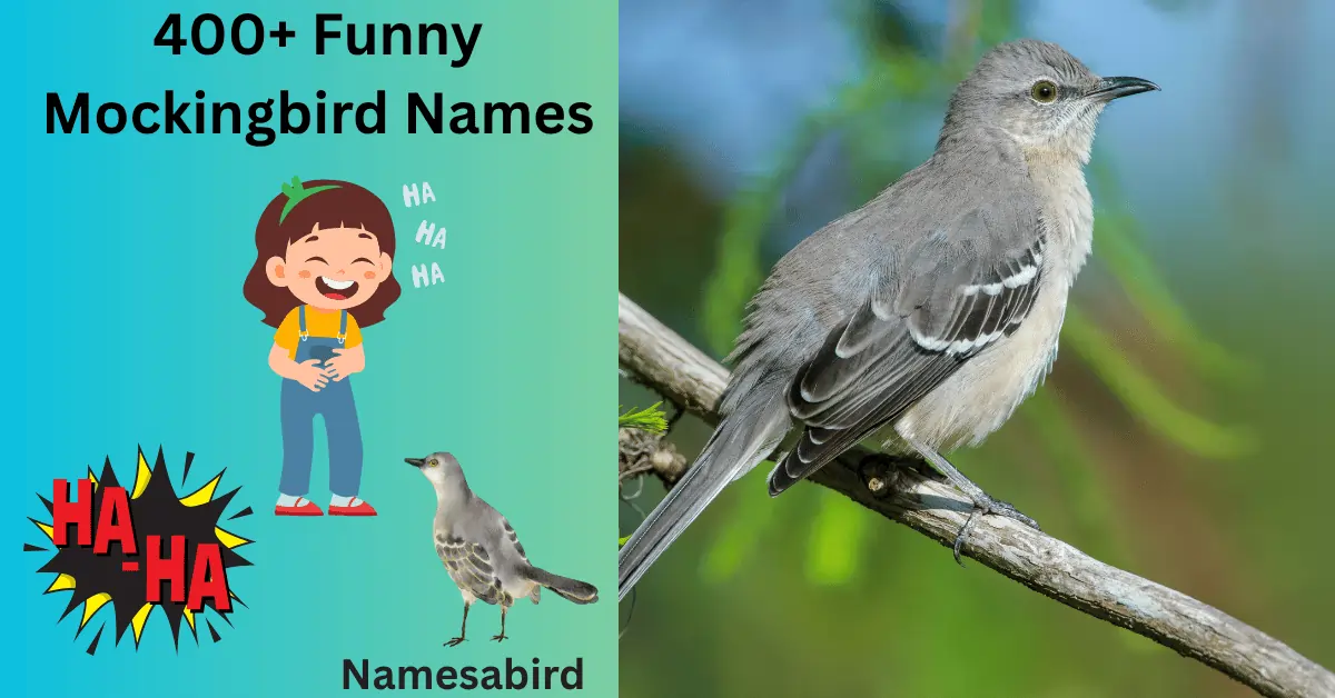 300+  Best Mockingbird Names: Funny, Cute & Catchy Ideas with Generator