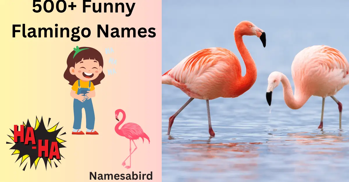 500+ Funny Flamingo Names: Unique, Creative & Stylish Ideas with  AI Generator