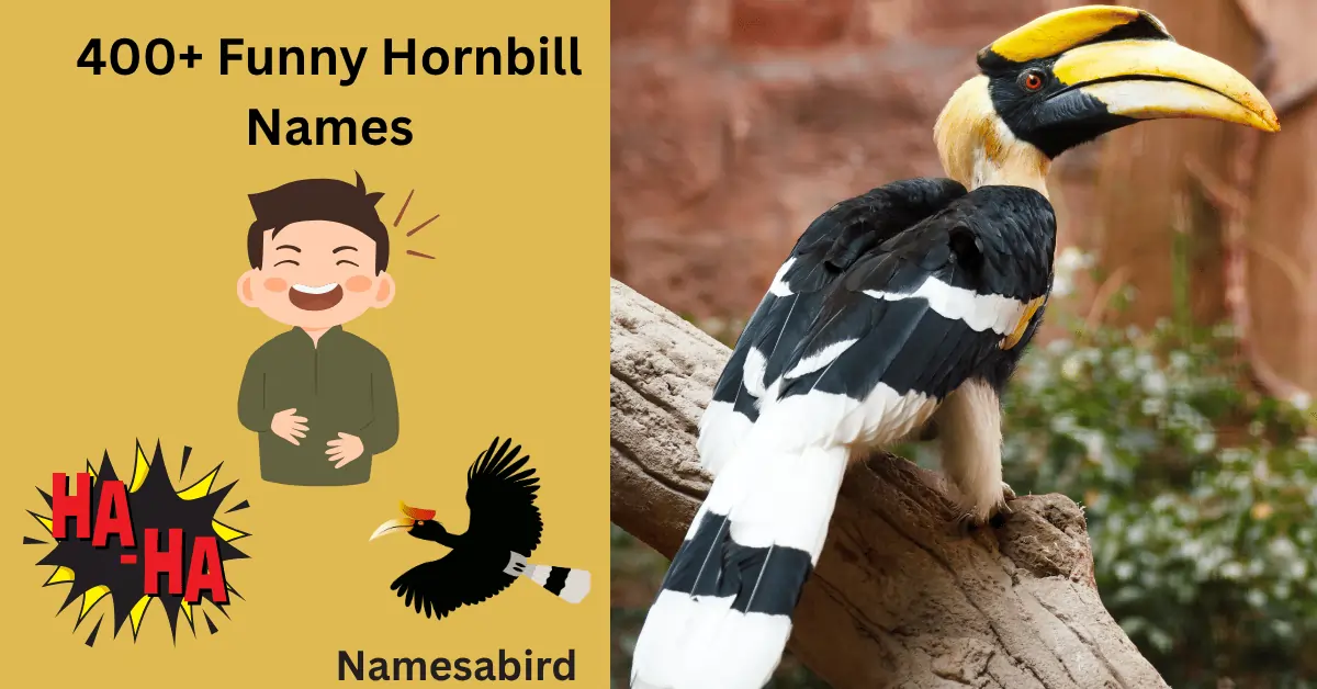 300+ Funny Hornbill Names: Hilarious ideas with AI Generator for Bird Lovers