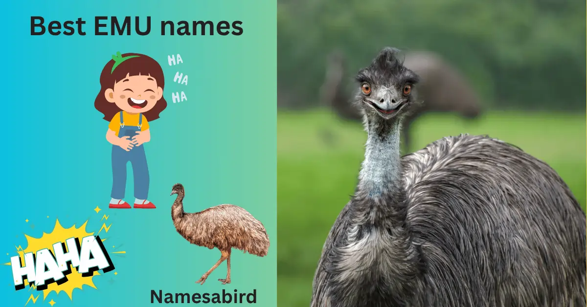 450 + Best Emu Names Cute & unique ideas with Generator 