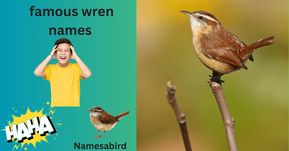 Famous Wren Names 200+ Unique, Cute & Iconic Ideas with Generator 