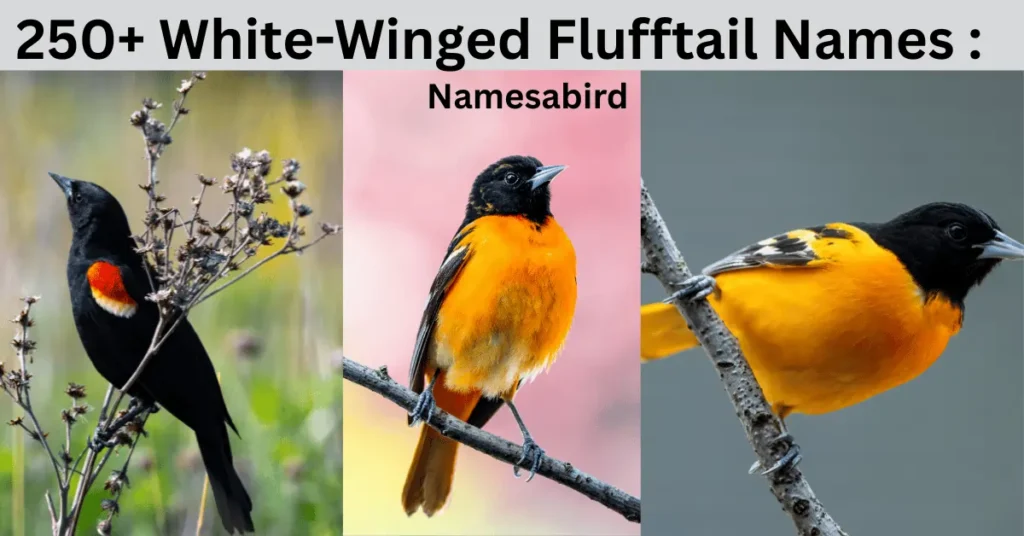 250+ White-Winged Flufftail Names : The World's Rarest Bird You’ve Never Seen