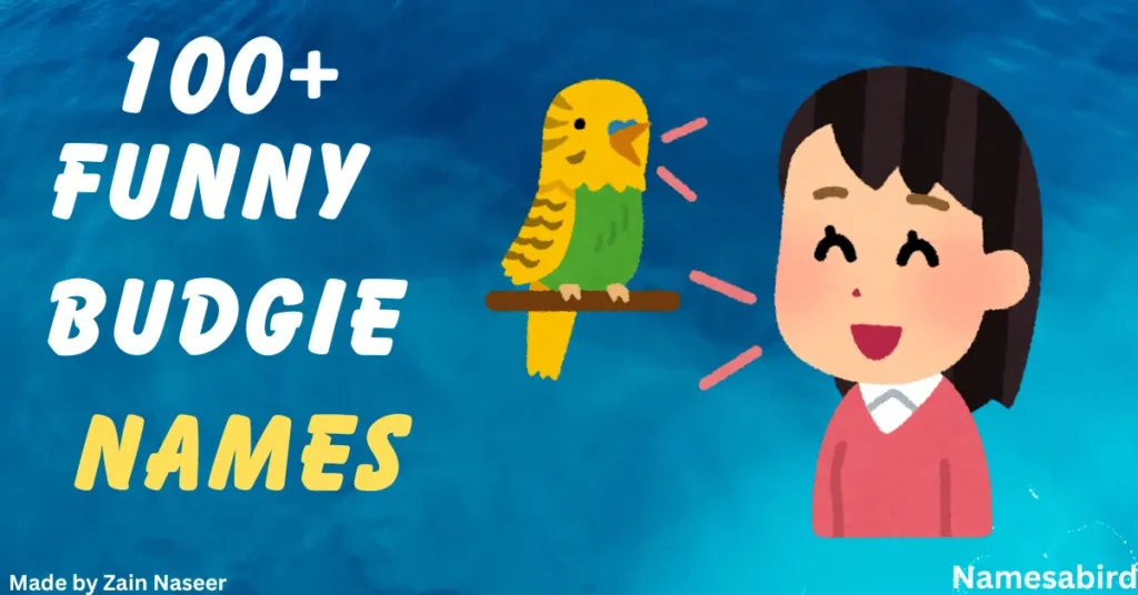 What Are Good Budgie Names