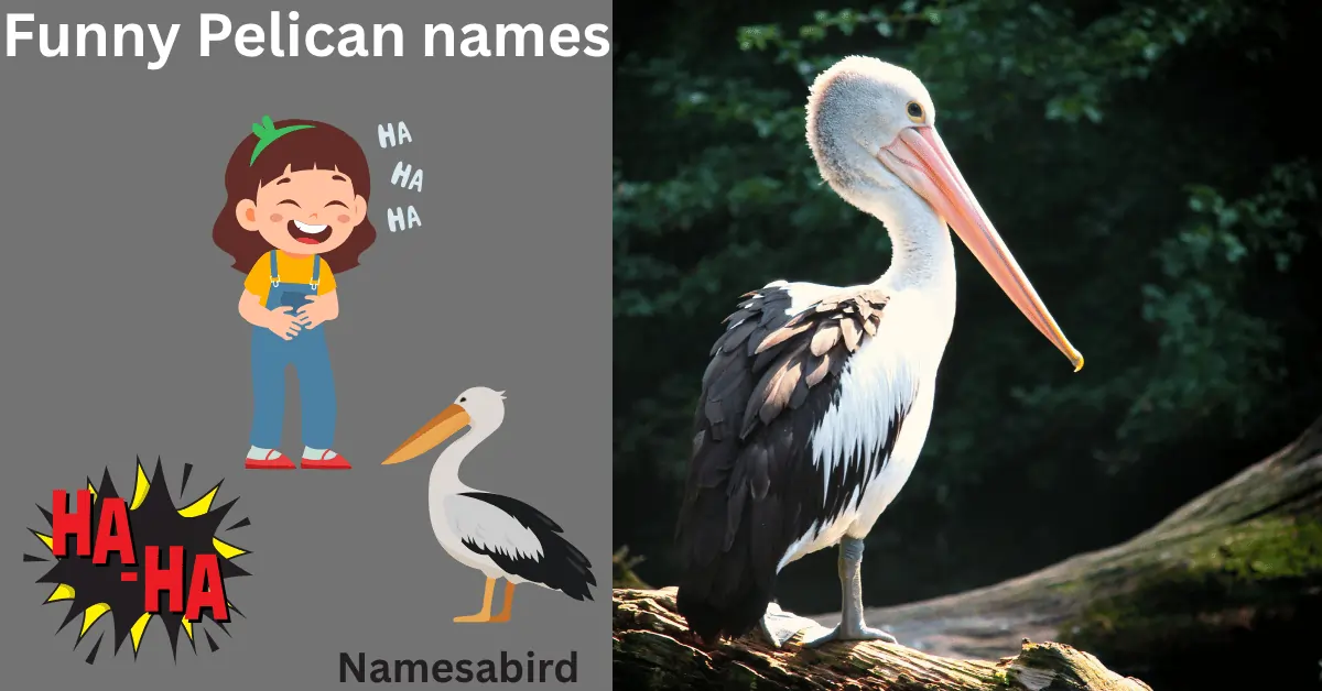 Funny Pelican Names: Creative, Punny, & Unique Ideas with AI Generator